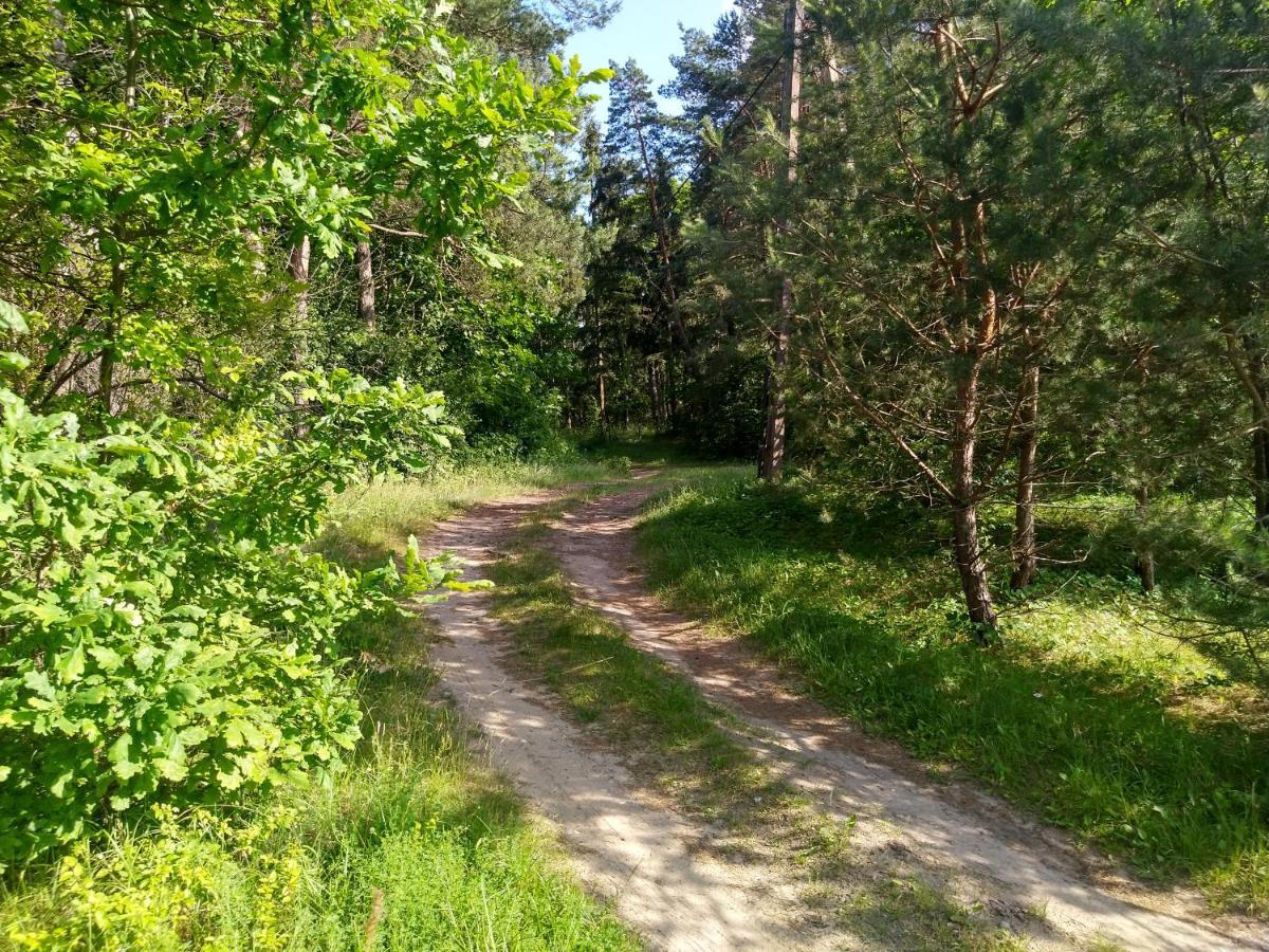 Domki Letniskowe Szczycionek Szczytno  Exteriör bild